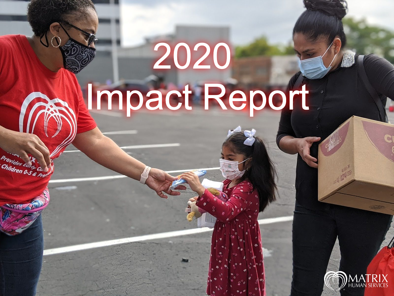 2020 Impact Report Link