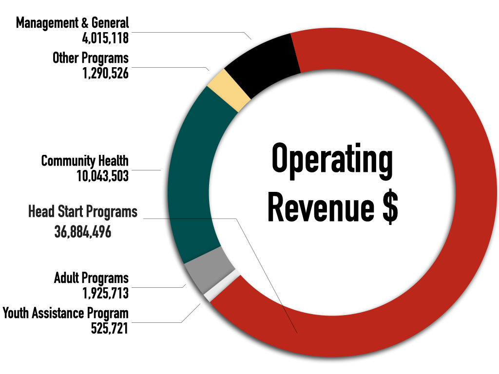 2021 Operating Revenue Enlarged.001